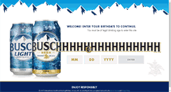 Desktop Screenshot of busch.com